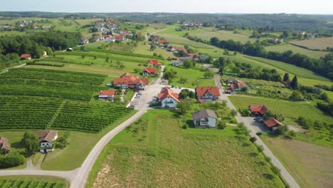 Vista-Panorámica-Aérea-Del-Asentamiento-De-Casas,-Asentamiento-Cerca-De-Moravske-Toplice,-Eslovenia