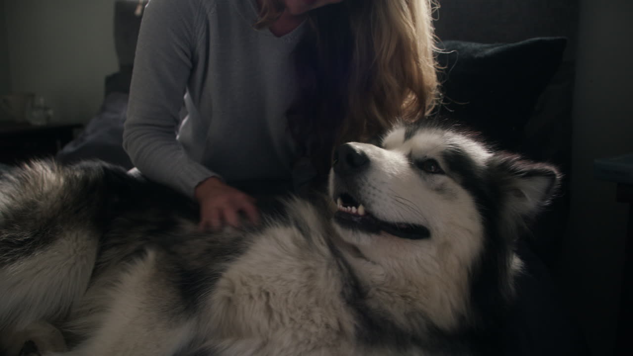 I'd rather spend time with my dog than any human