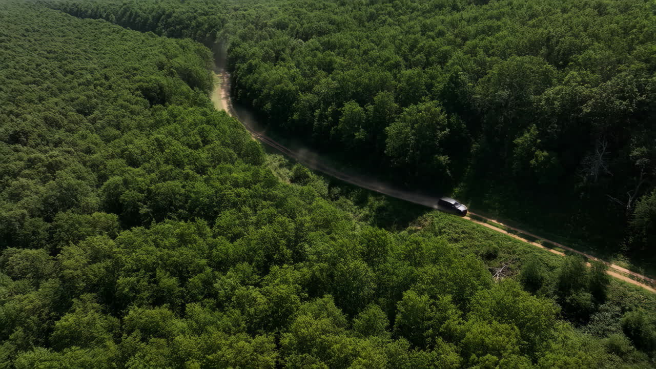 Aerial View of a Vehicle on a Dirt Road Through a Lush Green Forest