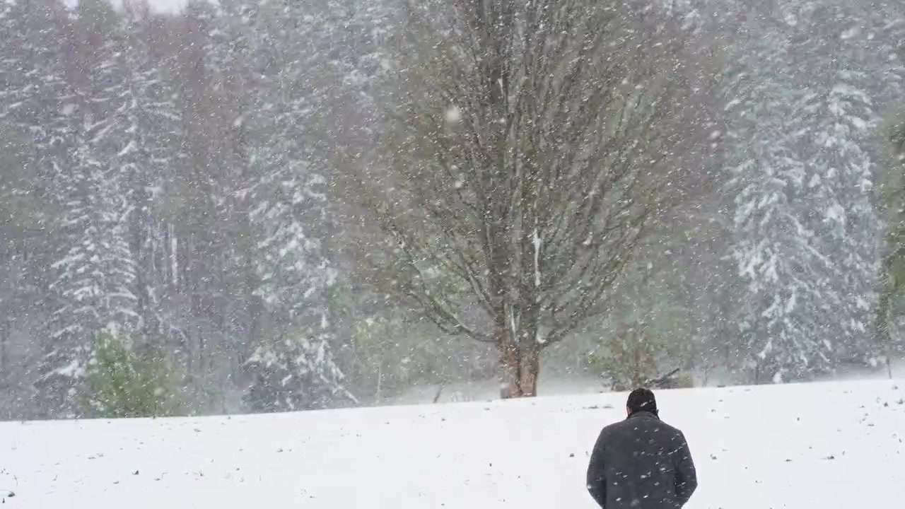 大雪が降る森の中を歩く男性、スローモーション。