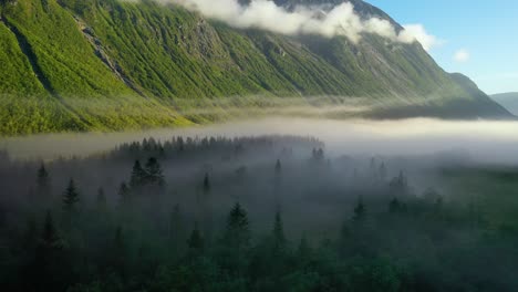 morning mist over the valley among the mountains in the sunlight. fog and beautiful nature of norway aerial footage.