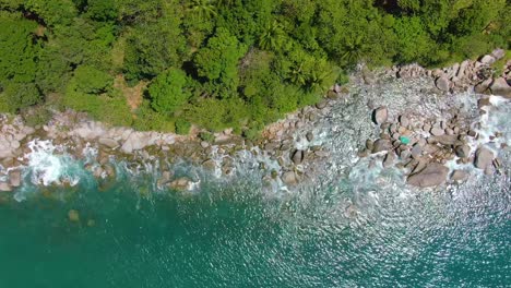 aerial view of a tropical coastline