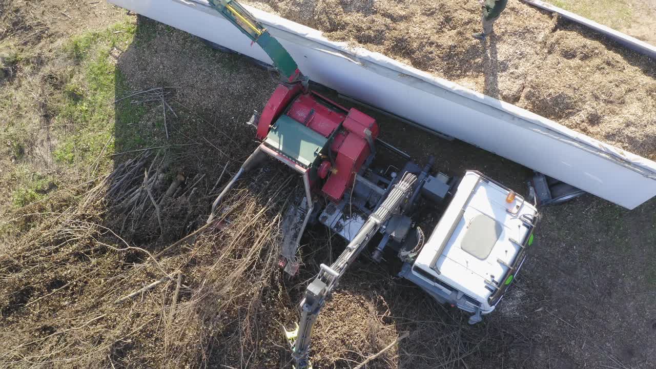 astilladora de madera cortando ramas de árboles y soplando astillas de madera y aserrín en el camión