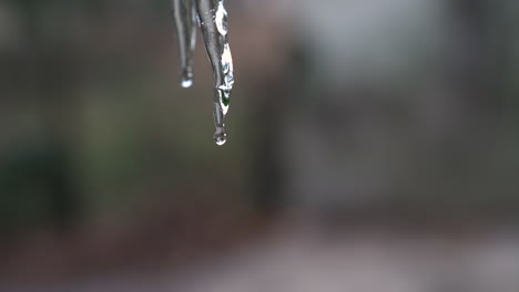 toma estática mientras el agua cae lentamente desde la parte superior del espacio de copia del carámbano