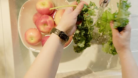 fresh kale cabbage leaves washing by woman hand over a white sink, top down view, 4k