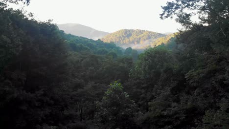 4k 無人機視頻飛過阿什維爾附近的煙山的樹木, nc 在霧<unk>的早晨