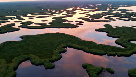 sunrise or sunset over a colorful swampy landscape