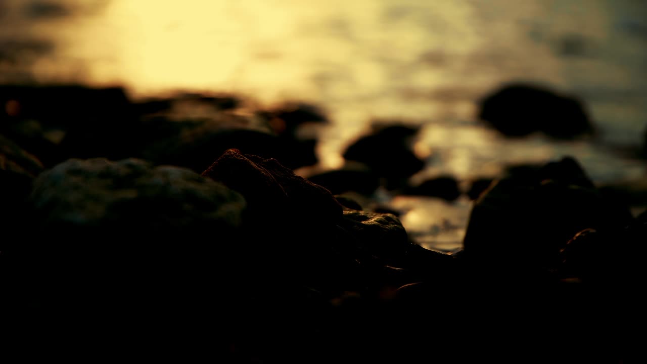 자연 어두운 황금 시간 색상 일몰 바다 전망 물줄기가 바위를 때리고 밤에 잎의