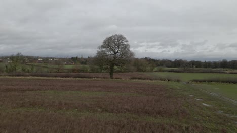 A-4K-drone-shot-flying-low-away-from-a-tree-over-a-winter-field