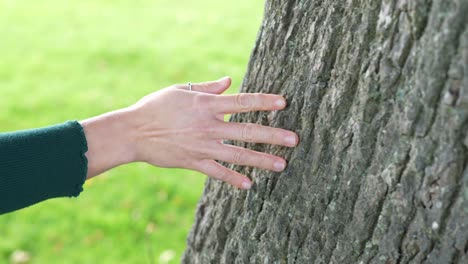 Caucasian-hand-touching-tree-trunk,-in-4K,-Slow-Motion