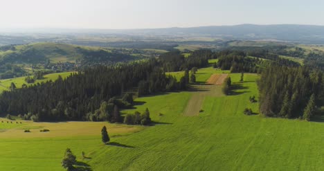 Fliegen-über-Das-Schöne-Waldbäume-Landschaftspanorama-35