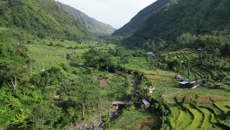 drone flying down a mountain valley with lush green jungle and rice terraces