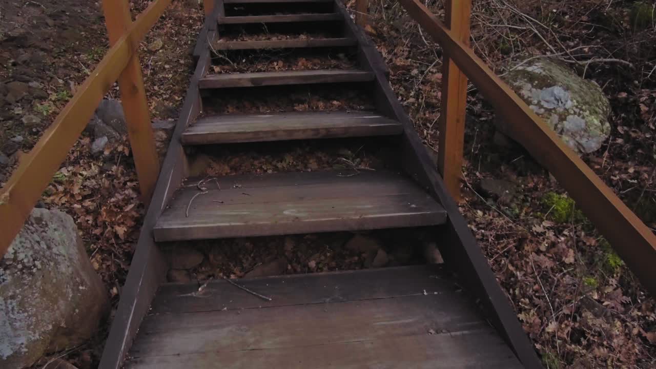 CLimbing wooden steps on a hiking trail in the mountains