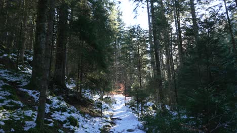 Young-white-skinned-woman-jumping-happily-in-front-of-the-camera-in-a-snowy-forest