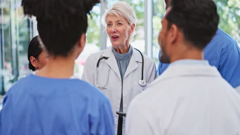 doctor leader woman, meeting
