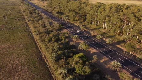 Luftaufnahme-Eines-Grauen-Autos,-Das-Bei-Goldenem-Sonnenuntergang-Im-Herbst-Auf-Einer-Landstraße-Neben-Einem-Feuchtgebiet-In-Uruguay-Fährt