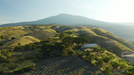 drone vuela sobre la granja en la granja de agave azul en tequila, méxico