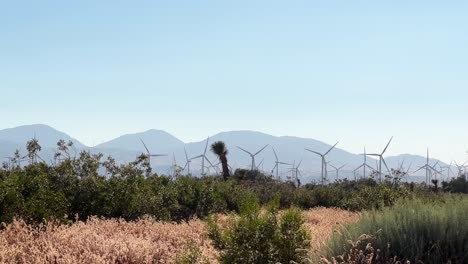 Wind-turbines-in-the-Mojave-Desert---low,-wide-angle-view
