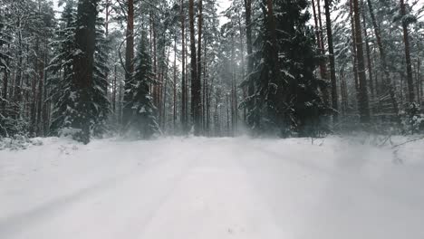 Backwards-mounted-camera-on-a-car-driving-through-forest-road