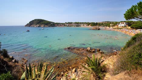 beautiful mediterranean beach of the costa brava girona leafy green vegetation and turquoise blue sea