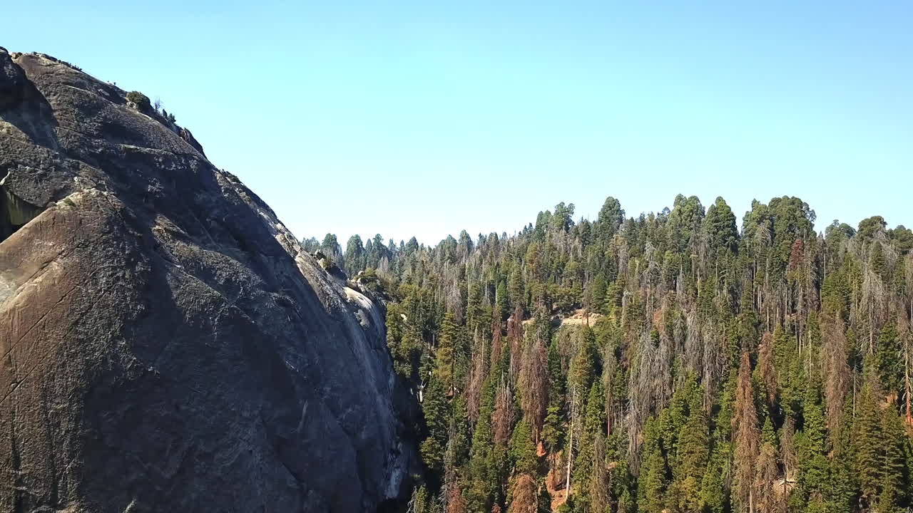 antena delantera de montaña y bosque de coníferas en el parque nacional sequoia