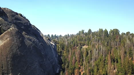 Antena-Delantera-De-Montaña-Y-Bosque-De-Coníferas-En-El-Parque-Nacional-Sequoia