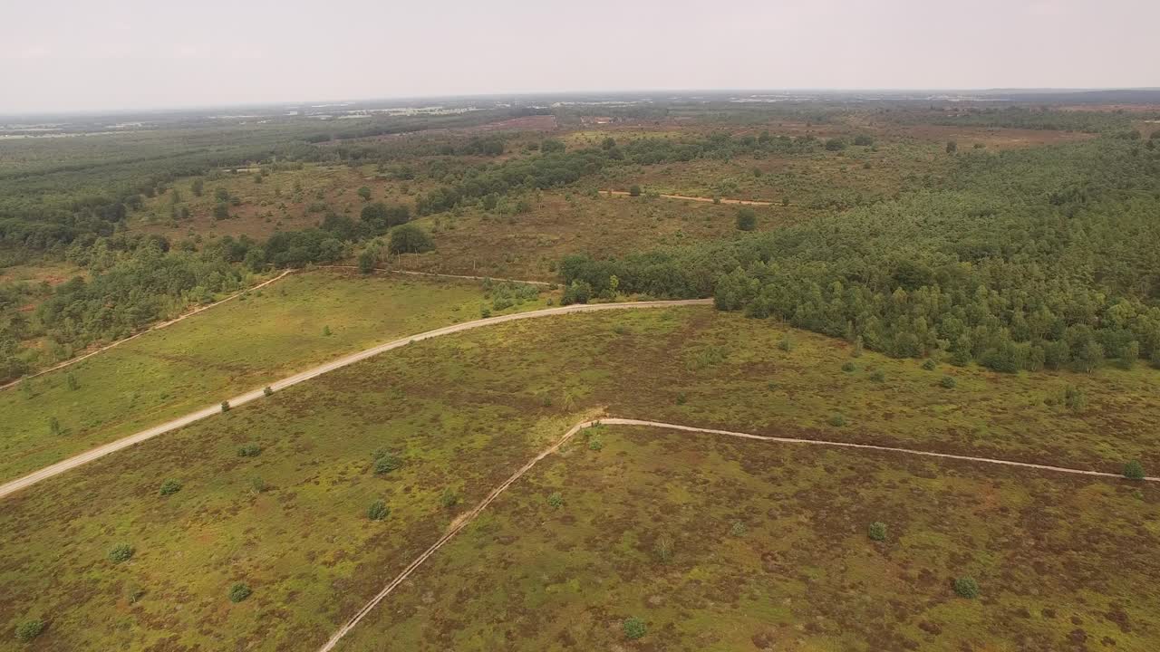 A forest aerial flyover with cars entering the shot from behind the forest wall.