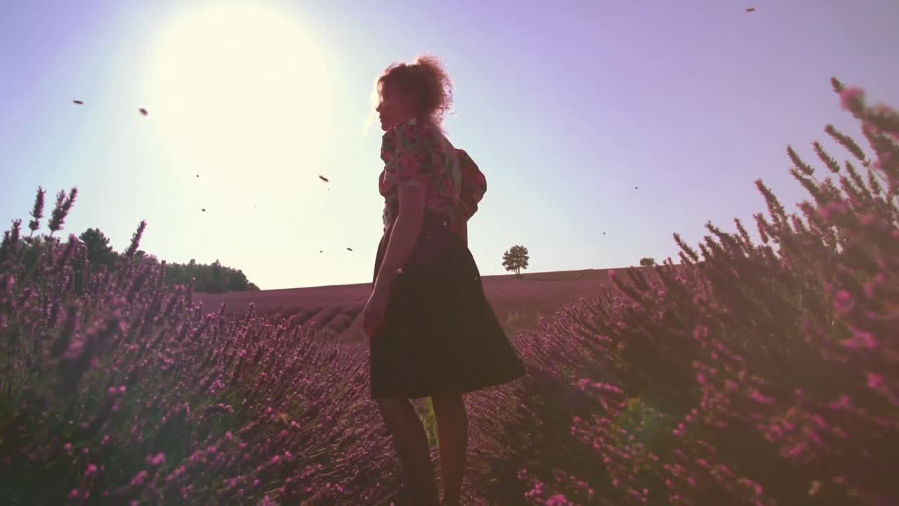 Scena al rallentatore di un bellissimo campo di lavanda nella famosa Provenza in Costa Azzurra, Francia-1