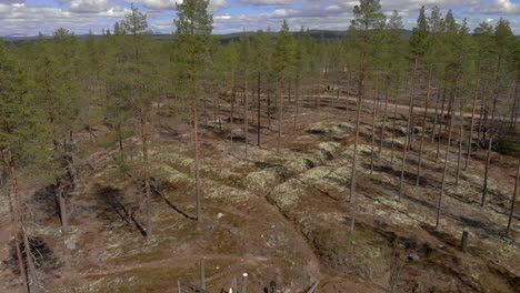 trincheras hechas por el hombre ww 2 y línea de defensa antitanque en norden suecia