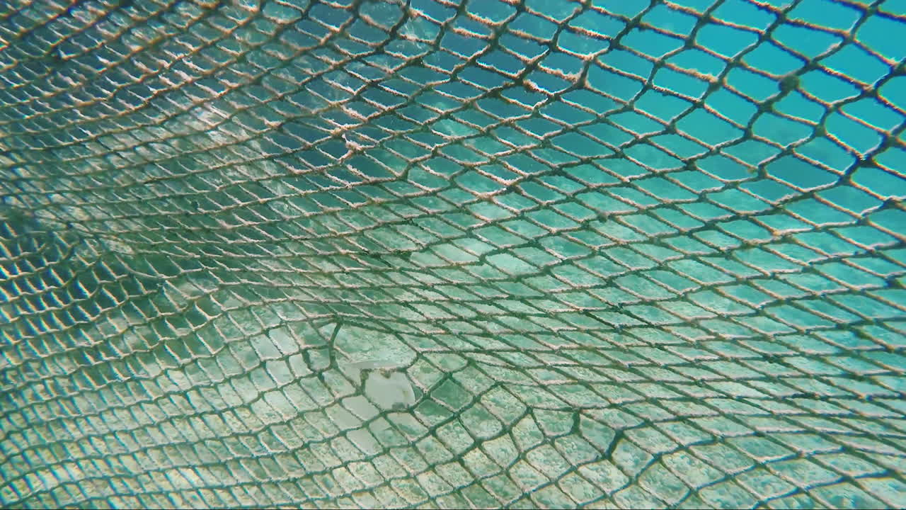 bezpečnost turistů zajišťuje ochranná síť před nebezpečnými mořskými obyvateli