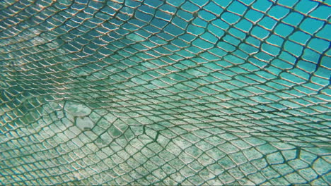 safety of tourists is provided by a protective net from dangerous sea inhabitants