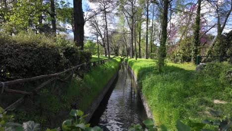 Tranquil Stream Flowing Through a Lush Green Park