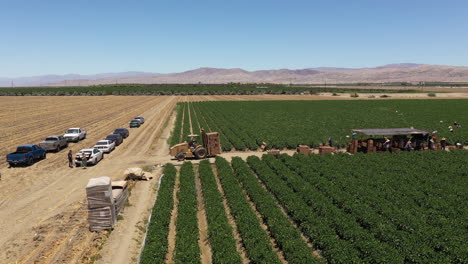 aerial shot of a field in palm springs, california, near los angeles, taken by drone