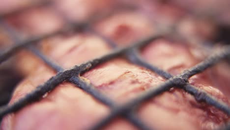 macro video de un filete de carne cruda en la parrilla, bbq de cerca, empuje en movimiento, full hd