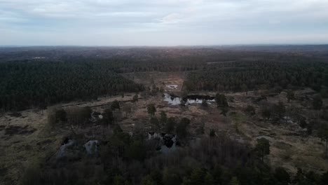 Aerial-spinning-shot-over-a-forest-in-Ascot-at-dusk-revealing-few-ponds