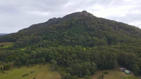 Parque-Nacional-Del-Hermano-Medio---Exuberante-Bosque-Verde-De-Eucaliptos-Y-Selva-Tropical-En-Nsw,-Australia