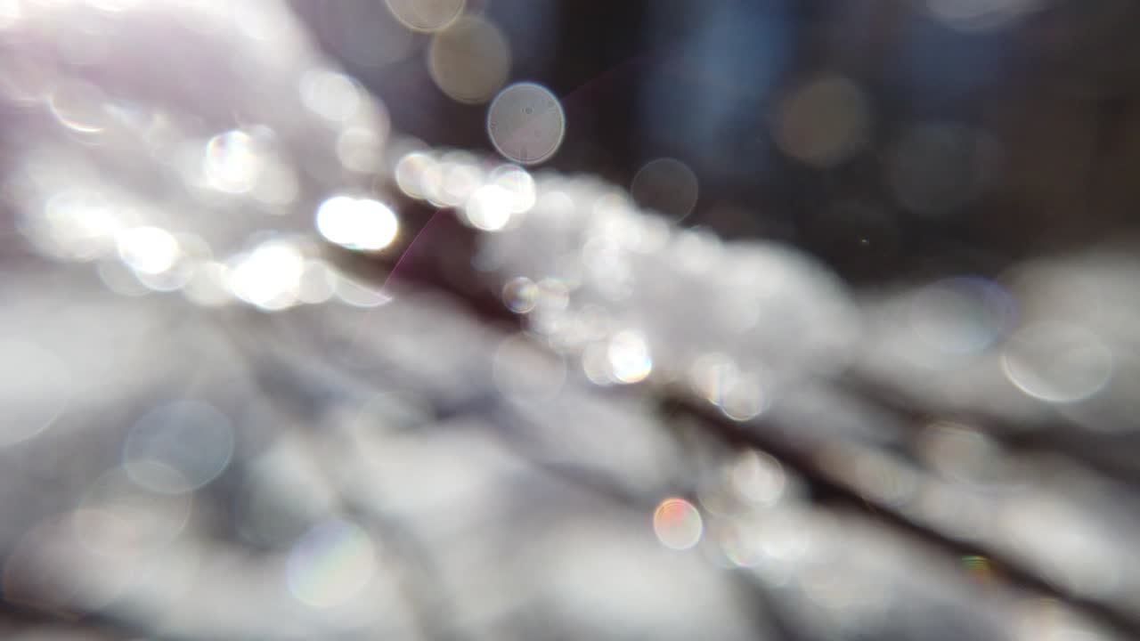 Winter forest. Abstract background. Snow and sun.