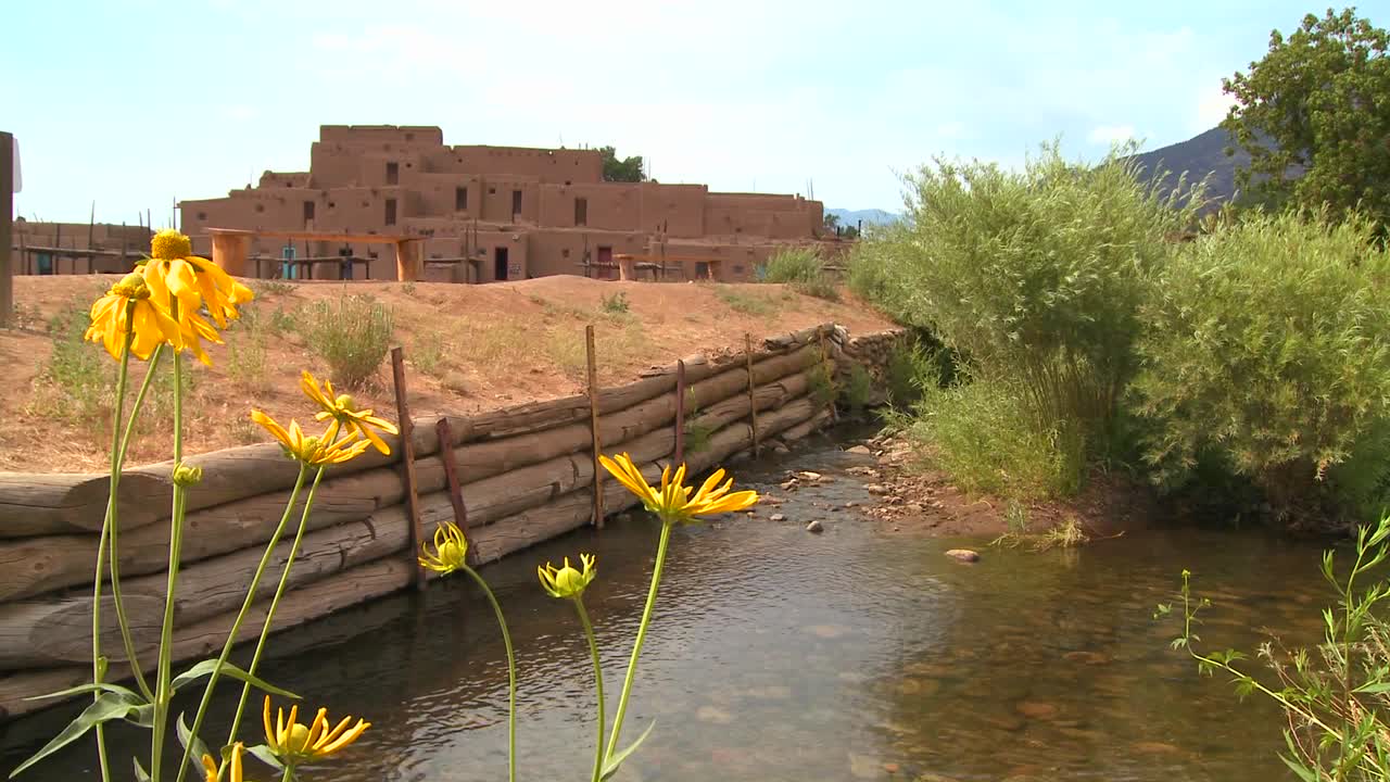 flores amarillas cerca del pueblo de taos en nuevo mexico