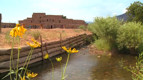 Yellow-flowers-near-the-Taos-pueblo-in-New-Mexico