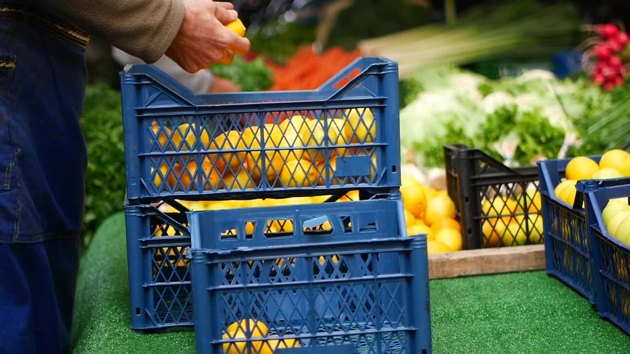 Mani che selezionano limoni freschi in cassette in una bancarella del mercato