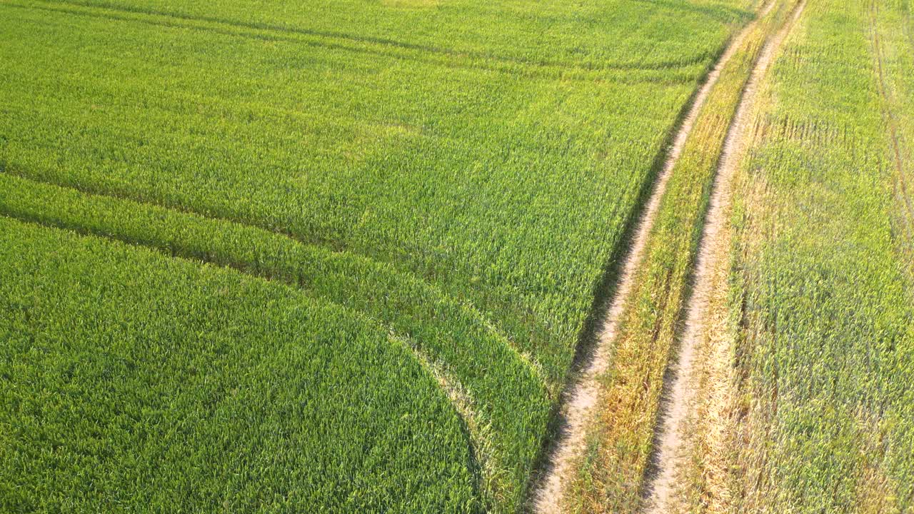 carretera rural que atraviesa tierras de cultivo durante la noche de verano