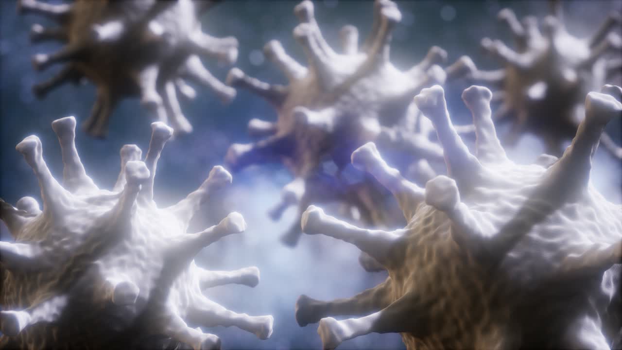 코로나바이러스 코비드-2019의 루프 회전