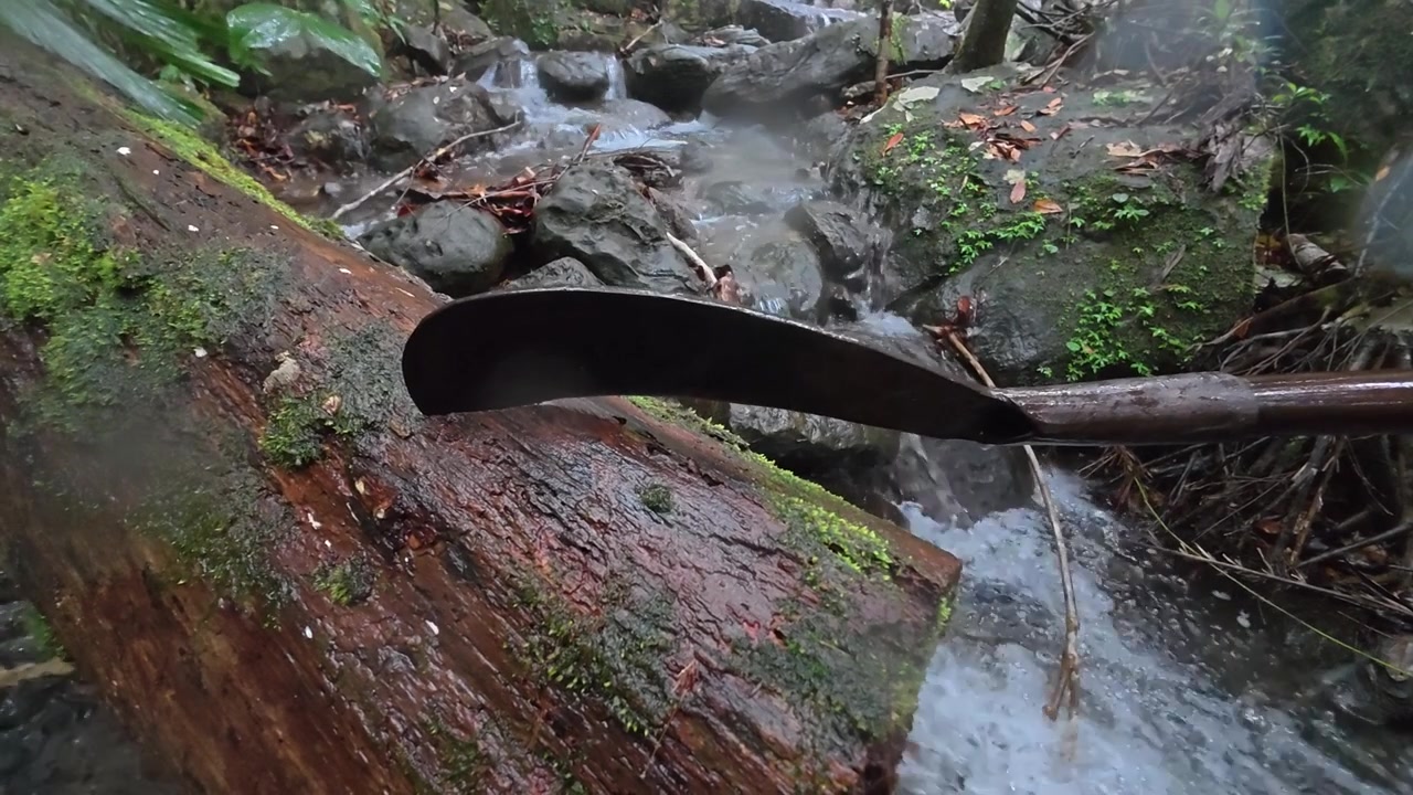 Adegan bushcraft yang menampilkan parang yang digunakan di hutan hujan tropis