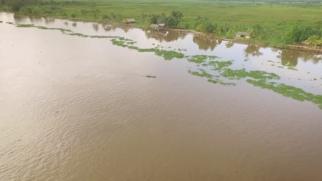 vista de drones de una pequeña canoa indígena que cruza el río orinoco con casas indígenas en la costa verde