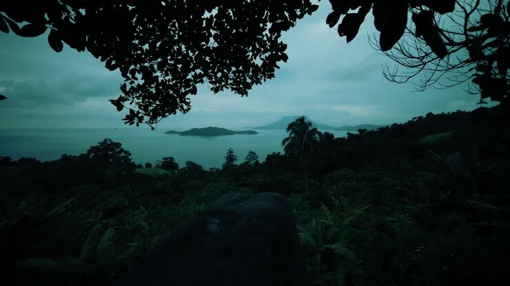 Misty Tropical Island View from Rainforest