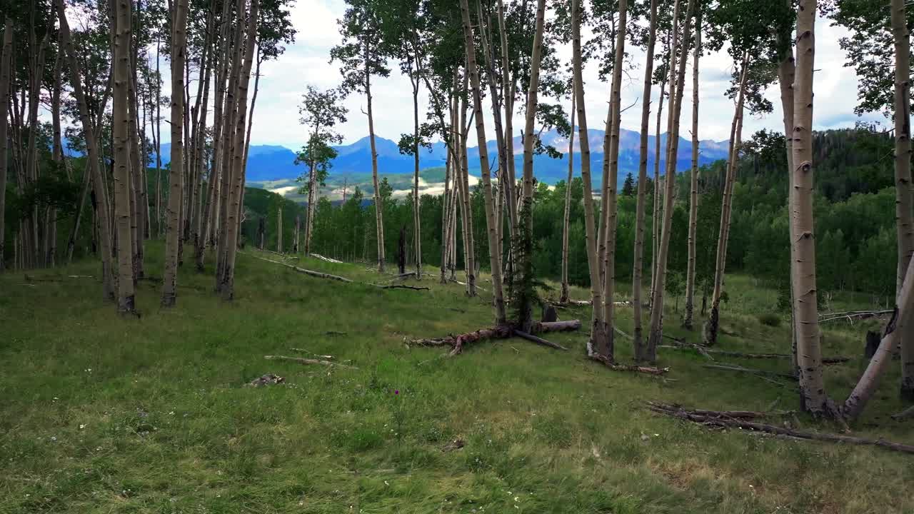 Summer Colorado Rocky Mountains aerial drone vista Telluride airport Ridgway Last Dollar Road Aspen Trees Groove Forest green Ouray Silverton San Juan Mount Sneffels Wilson Peak gimbal right motion