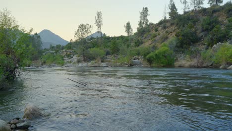 Los-Relajantes-Sonidos-De-Los-Pájaros-Y-El-Río-Que-Corre-En-El-Río-Kern,-California.