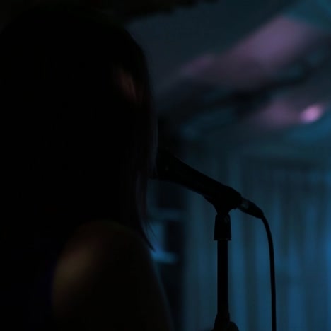 artist on club stage during night party