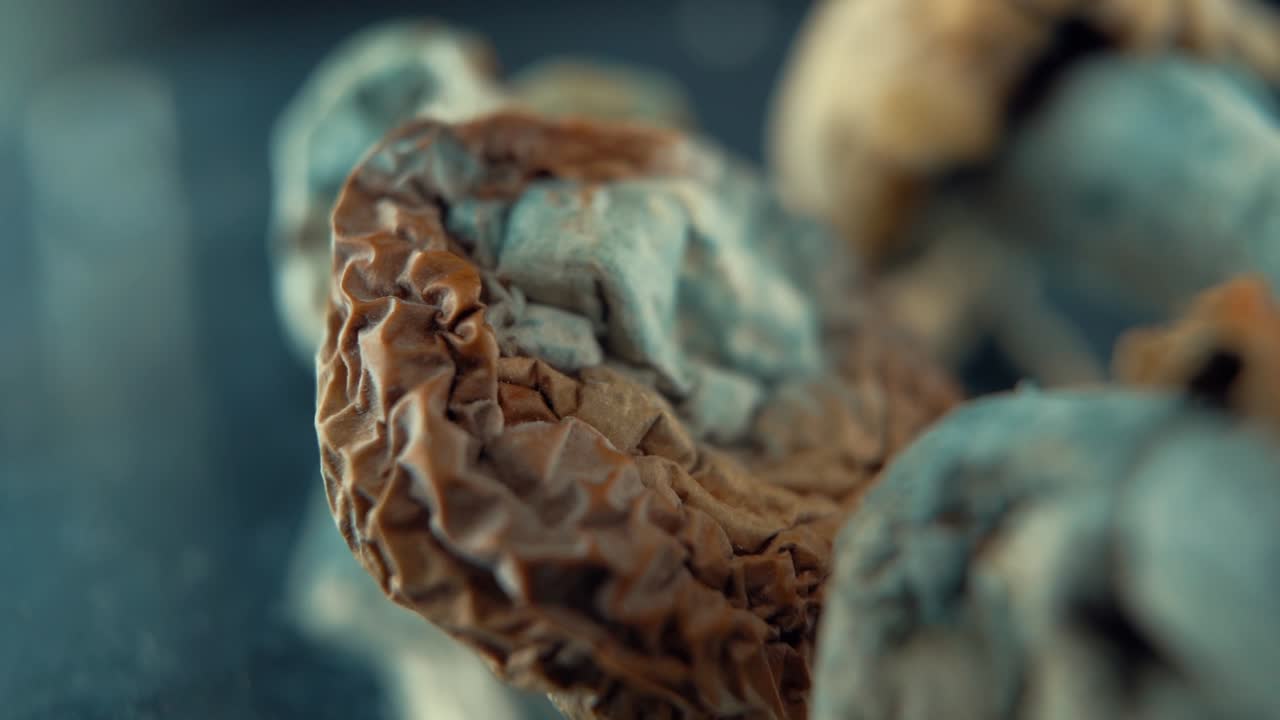 A detailed Macro cinematic shot of a magical psychoactive psilocybin hallucination dried mushroom with a yellow red cap, on a rotating reflecting stand, studio lighting, Full HD, slow motion 120 fps