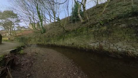 imágenes de video de la orilla del río que se mueven hacia atrás